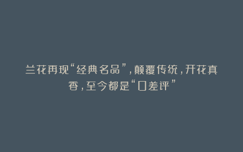兰花再现“经典名品”，颠覆传统，开花真香，至今都是“0差评”
