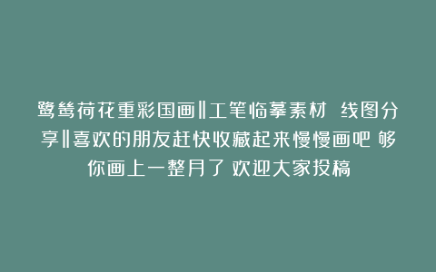 鹭鸶荷花重彩国画‖工笔临摹素材 线图分享‖喜欢的朋友赶快收藏起来慢慢画吧！够你画上一整月了！欢迎大家投稿
