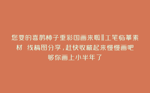 您要的喜鹊柿子重彩国画来啦‖工笔临摹素材 线稿图分享，赶快收藏起来慢慢画吧！够你画上小半年了！