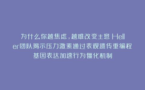 为什么你越焦虑，越难改变主意？Heller团队揭示压力激素通过表观遗传重编程基因表达加速行为僵化机制