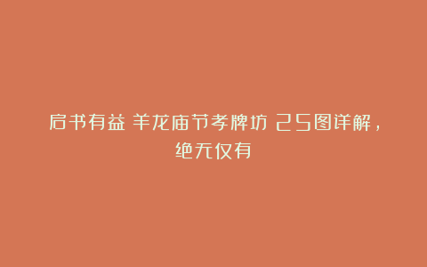 启书有益｜羊龙庙节孝牌坊（25图详解，绝无仅有）