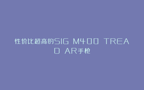 性价比超高的SIG M400 TREAD AR手枪
