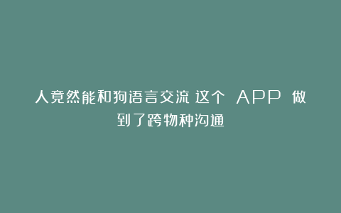 人竟然能和狗语言交流？这个 APP 做到了跨物种沟通？