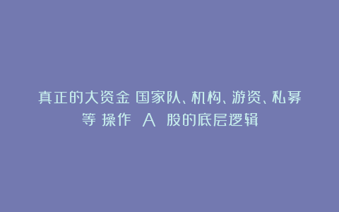 真正的大资金（国家队、机构、游资、私募等）操作 A 股的底层逻辑