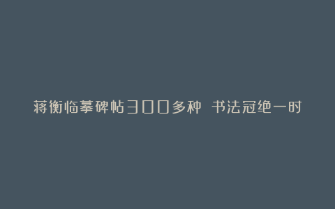 蒋衡临摹碑帖300多种 书法冠绝一时
