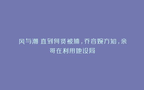 《风与潮》直到何贤被捕，乔音婉方知，亲哥在利用她设局
