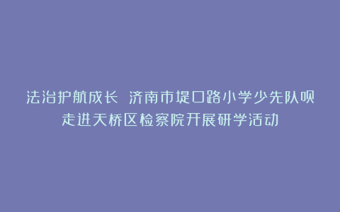 法治护航成长 济南市堤口路小学少先队员走进天桥区检察院开展研学活动
