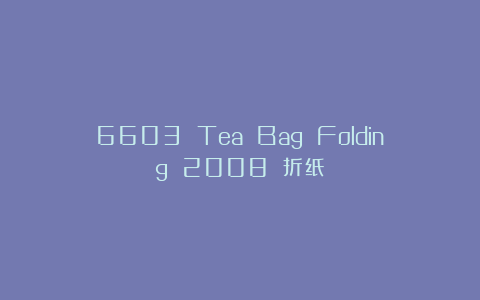 6603 Tea Bag Folding 2008 折纸