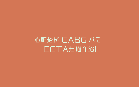 心脏搭桥(CABG)术后–CCTA扫描介绍1