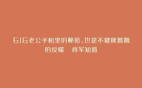 616老公手机里的秘密,也是不健康婚姻的反噬!| 将军知道
