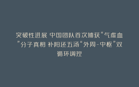 突破性进展！中国团队首次捕获“气虚血瘀”分子真相！补阳还五汤“外周-中枢”双循环调控！