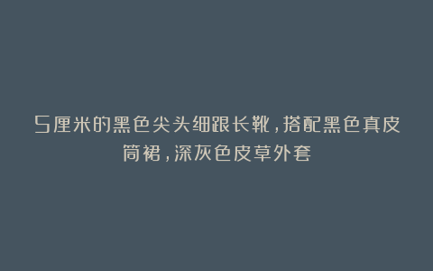 5厘米的黑色尖头细跟长靴，搭配黑色真皮筒裙，深灰色皮草外套