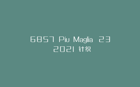 6857 Piu Maglia №23 2021 针织