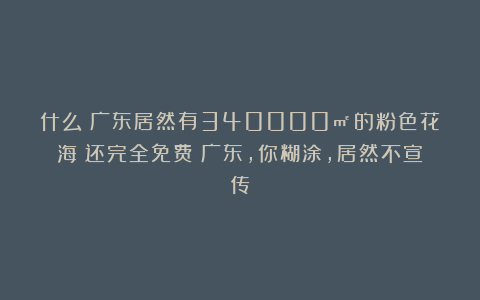 什么？广东居然有340000㎡的粉色花海！还完全免费！广东，你糊涂，居然不宣传！