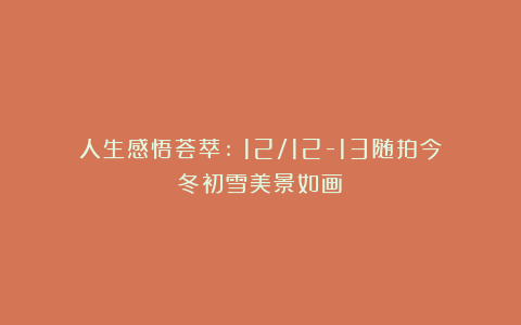 人生感悟荟萃:《12/12-13随拍今冬初雪美景如画》