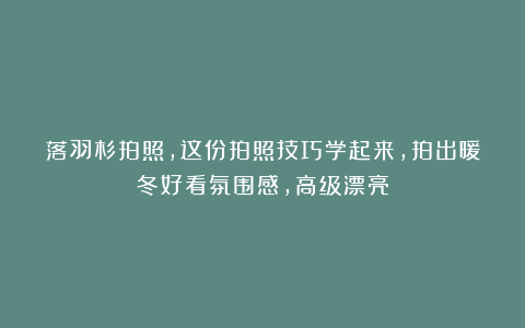 落羽杉拍照，这份拍照技巧学起来，拍出暖冬好看氛围感，高级漂亮