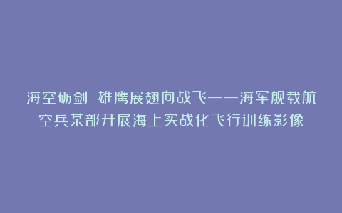 海空砺剑 雄鹰展翅向战飞——海军舰载航空兵某部开展海上实战化飞行训练影像