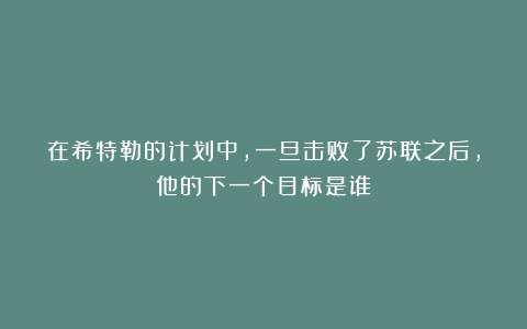 在希特勒的计划中，一旦击败了苏联之后，他的下一个目标是谁？