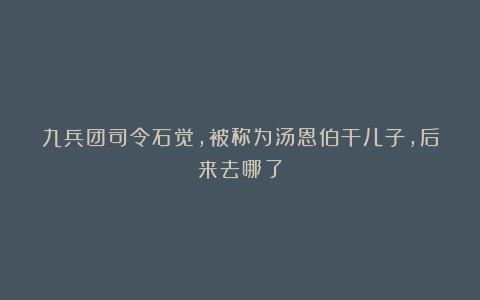 九兵团司令石觉，被称为汤恩伯干儿子，后来去哪了