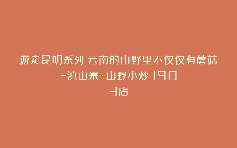 游走昆明系列：云南的山野里不仅仅有蘑菇–滇山果·山野小炒（1903店）