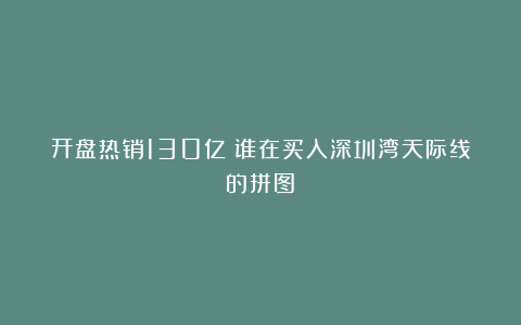 开盘热销130亿！谁在买入深圳湾天际线的拼图？