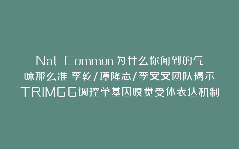 Nat Commun：为什么你闻到的气味那么准？李乾/谭隆志/李安安团队揭示TRIM66调控单基因嗅觉受体表达机制
