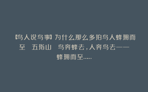 【鸟人说鸟事】为什么那么多拍鸟人蜂拥而至 (五指山) 鸟奔蜂去,人奔鸟去——蜂拥而至……