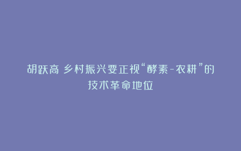 胡跃高：乡村振兴要正视“酵素-农耕”的技术革命地位