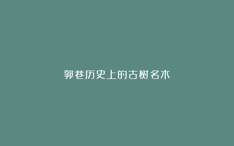 郭巷历史上的古树名木