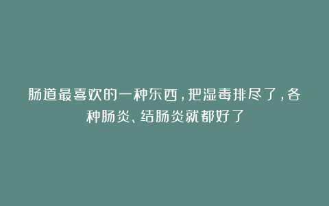 肠道最喜欢的一种东西，把湿毒排尽了，各种肠炎、结肠炎就都好了