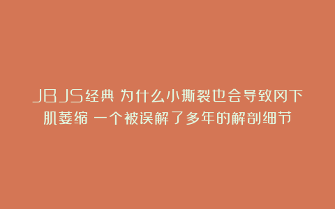 JBJS经典:为什么小撕裂也会导致冈下肌萎缩?一个被误解了多年的解剖细节