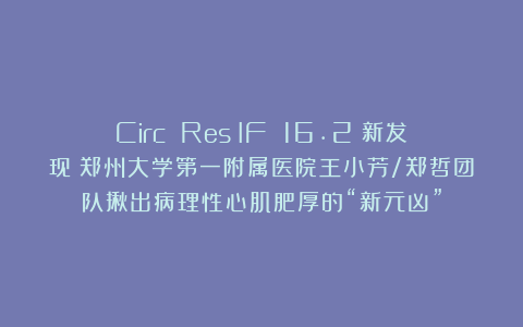 Circ Res(IF 16.2)新发现:郑州大学第一附属医院王小芳/郑哲团队揪出病理性心肌肥厚的“新元凶”