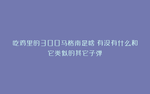 吃鸡里的300马格南是啥？有没有什么和它类似的其它子弹？