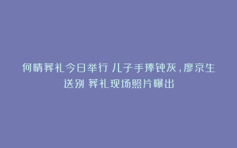 何晴葬礼今日举行！儿子手捧骨灰，廖京生送别！葬礼现场照片曝出