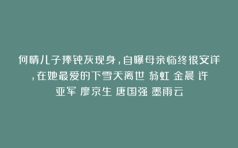 何晴儿子捧骨灰现身，自曝母亲临终很安详，在她最爱的下雪天离世|翁虹|金晨|许亚军|廖京生|唐国强|墨雨云