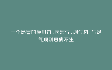 一个感冒的通用方，祛邪气，调气机，气足气顺则百病不生！