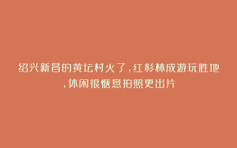 绍兴新昌的黄坛村火了，红杉林成游玩胜地，休闲很惬意拍照更出片