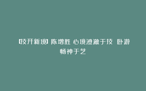 【技开新境】陈增胜：心境澄澈于技 卧游畅神于艺