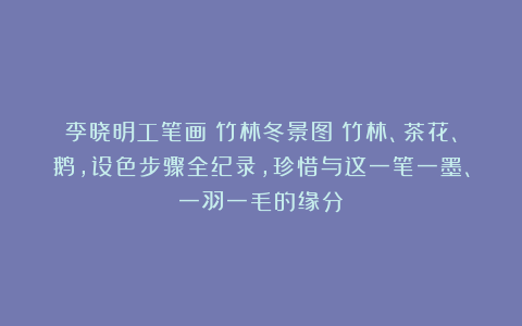 李晓明工笔画《竹林冬景图》竹林、茶花、鹅，设色步骤全纪录，珍惜与这一笔一墨、一羽一毛的缘分