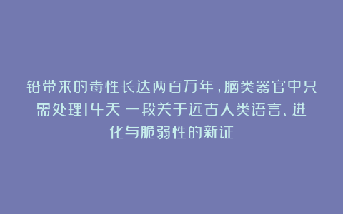 铅带来的毒性长达两百万年，脑类器官中只需处理14天：一段关于远古人类语言、进化与脆弱性的新证