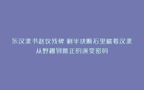 东汉隶书赵仪残碑:剩半块断石里藏着汉隶从野趣到雅正的演变密码