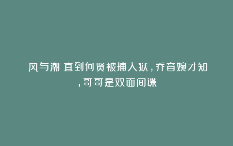 《风与潮》直到何贤被捕入狱,乔音婉才知,哥哥是双面间谍