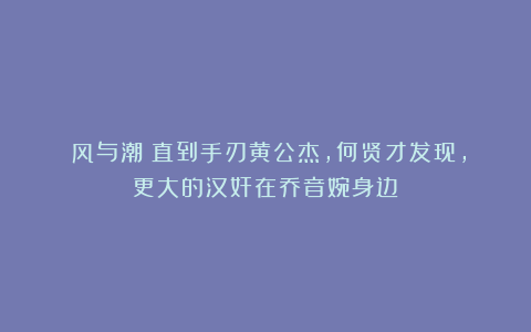 《风与潮》直到手刃黄公杰,何贤才发现,更大的汉奸在乔音婉身边