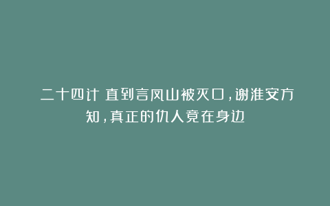 《二十四计》直到言凤山被灭口，谢淮安方知，真正的仇人竟在身边