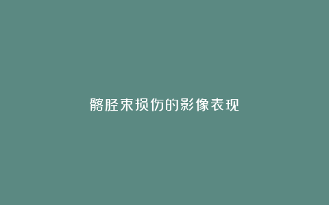 髂胫束损伤的影像表现
