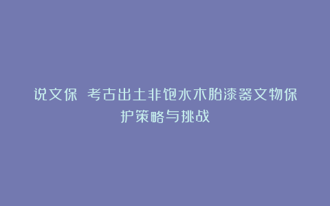说文保||考古出土非饱水木胎漆器文物保护策略与挑战