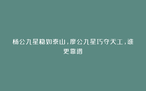 杨公九星稳如泰山，廖公九星巧夺天工，谁更靠谱？