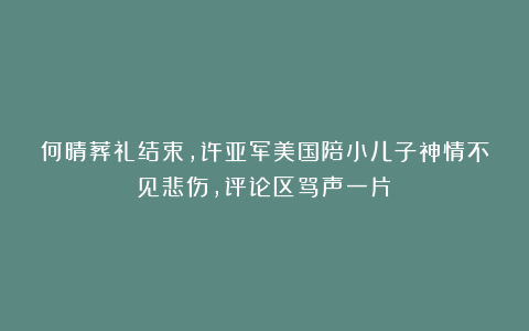何晴葬礼结束，许亚军美国陪小儿子神情不见悲伤，评论区骂声一片