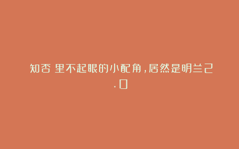 《知否》里不起眼的小配角，居然是明兰2.0