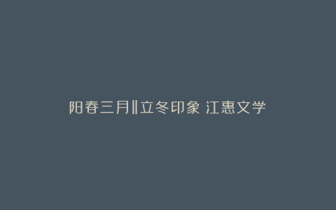 阳春三月‖立冬印象(江惠文学)